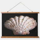 Recherche de aucun marine photographie Nature