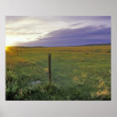 Recherche de barbelé posters Coucher de soleil