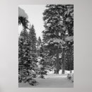Recherche de forêt noire posters Extérieur