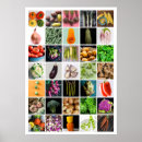Zoek naar keuken decor posters Helder