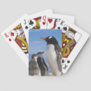Recherche de neko jeux de cartes Antarctique