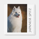 Recherche de pelucheux magnets Chien