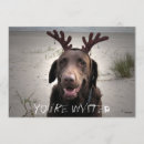 Recherche de chocolat labrador invitations Renne