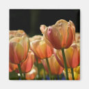 Recherche de de fleur de ressort magnets Orange