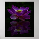Recherche de joie de zen Fleur