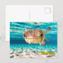 Recherche de fisher cartes postales Pour tous