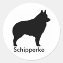 Recherche de schipperke Silhouette