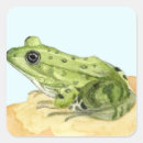 Zoek naar groene kikker stickers Wild