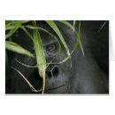 Zoek naar oeganda briefkaarten Wild