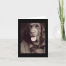 Recherche de chocolat labrador retriever vœux cartes Chiot