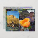 Recherche de fleur orange cartes postales Nature