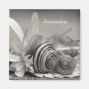 Recherche de escargots magnets Escargot de jardin