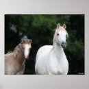 Recherche de foies posters Chevaux