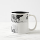 Recherche de fable tasses Animal