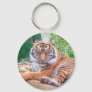 Recherche de relaxant porteclés Tigre