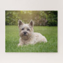 Zoek naar cairn terrier puzzels Puppy