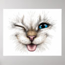 Zoek naar katten gezicht posters Katje