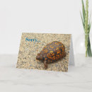 Recherche de turtle anniversaire cartes Tortue