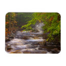 Recherche de fall river magnets Forest