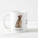 Recherche de labrador tasses Chiens