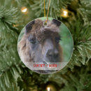 Zoek naar lama ornamenten Leuk