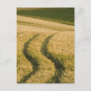 Zoek naar tuscany briefkaarten Boerderij