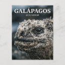 Recherche de galapagos cartes postales Faune