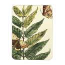 Recherche de papillons magnets Noir