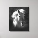 Recherche de occidental impressions sur toile Animaux