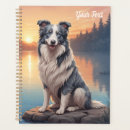 Recherche de border collie merle Chiens