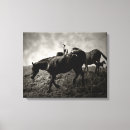 Recherche de pinto impressions sur toile Chevaux