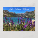 Recherche de fleurs de montagne cartes postales Aventure
