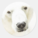 Recherche de polaire autocollants Nature