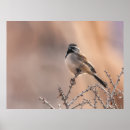 Recherche de ornithologie posters Portrait