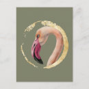 Recherche de notre dame cartes postales Pour tous