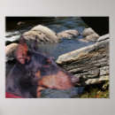Recherche de dobermann posters Animal