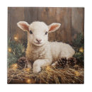 Zoek naar animal tegels Schapen