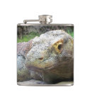 Recherche de lézard bar Zoo