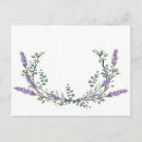 Recherche de fleurs lavande cartes postales Eucalyptus