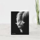 Recherche de miniature vœux cartes Romantique