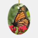 Recherche de papillon de monarque ornements Fleur
