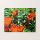 Recherche de pavot rouge puzzles Pavots