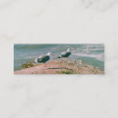 Recherche de falaise cartes visite Pour tous