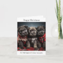 Recherche de flandre vœux cartes Bouvier des flandres