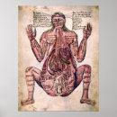 Zoek naar gynaecoloog posters Zwangerschap