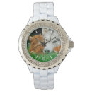 Recherche de caresses montres Chien