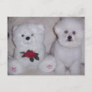 Recherche de ours nounours cartes postales Chien