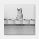 Recherche de domestiques magnets Noir et blanc