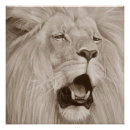 Recherche de faune posters Animaux sauvages