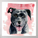 Zoek naar american bulldog Hondenliefhebbers